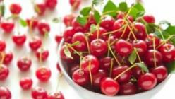 Опыление вишни – важный нюанс для хорошего урожая Ручное опыление черешни